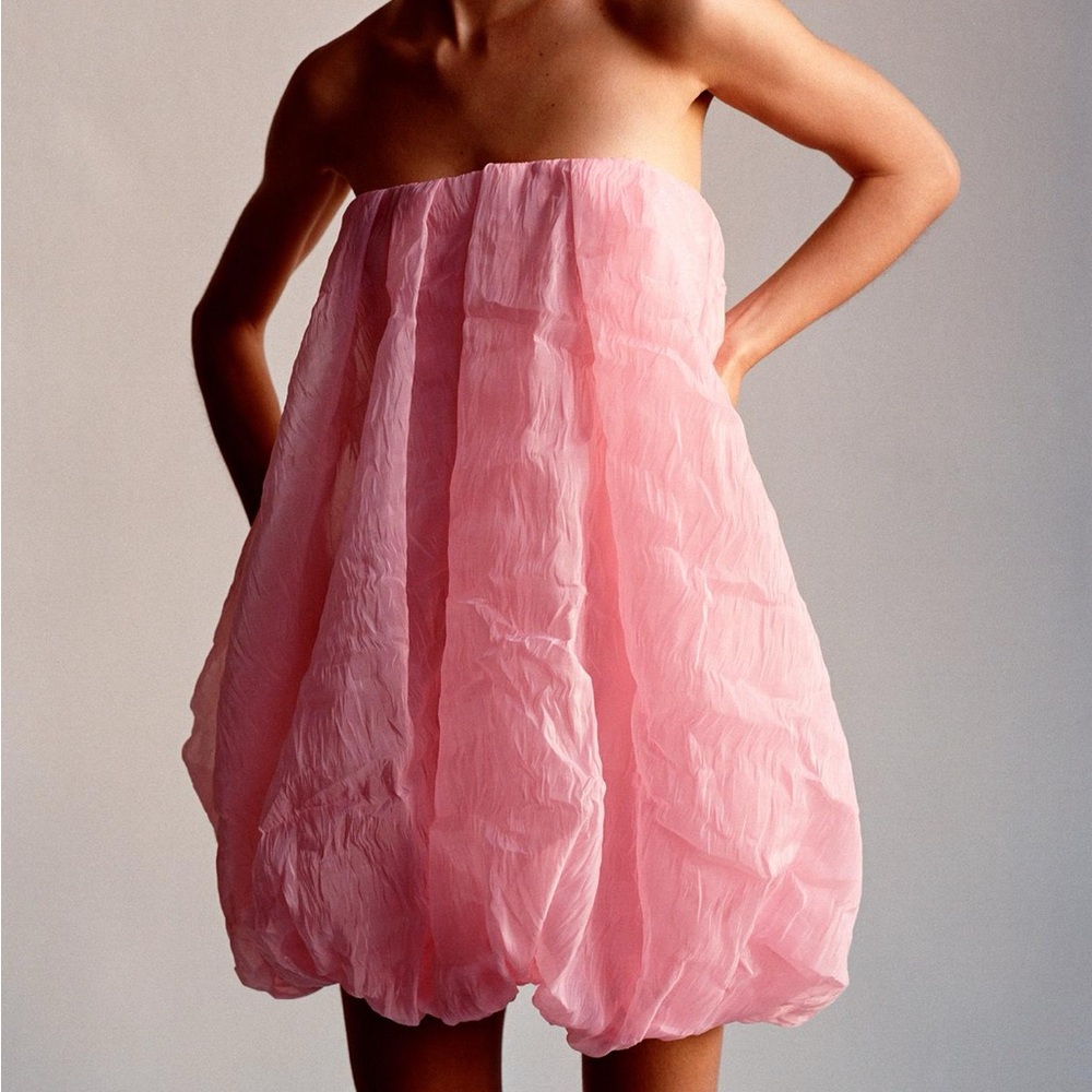 Zara Organza Balloon Dress
